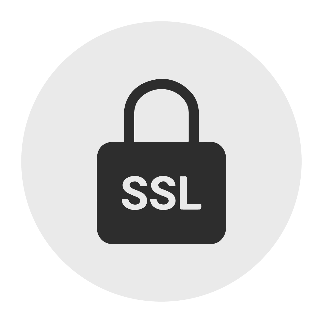 SSL icon